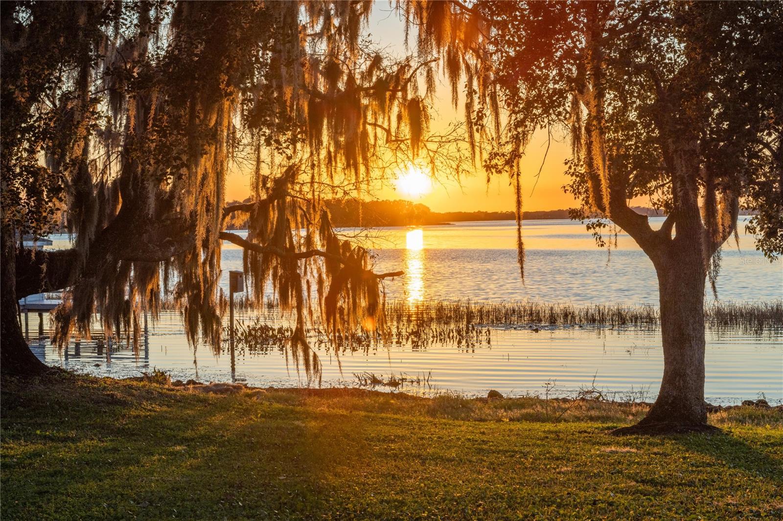 Listing photo id 37 for 6136 Dora Drive