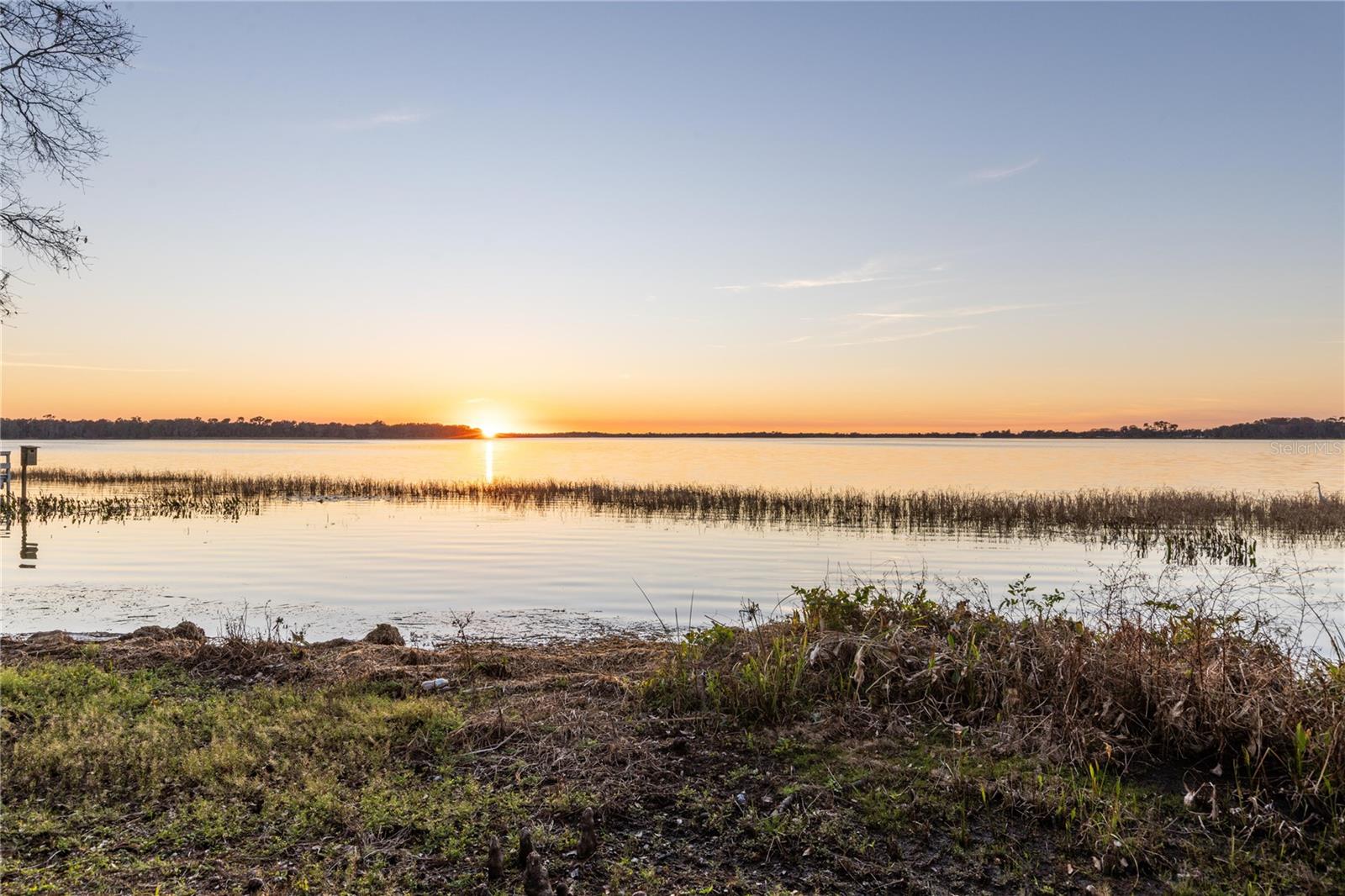 Listing photo id 38 for 6136 Dora Drive