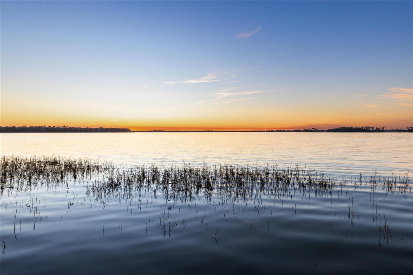 Listing photo id 39 for 6136 Dora Drive