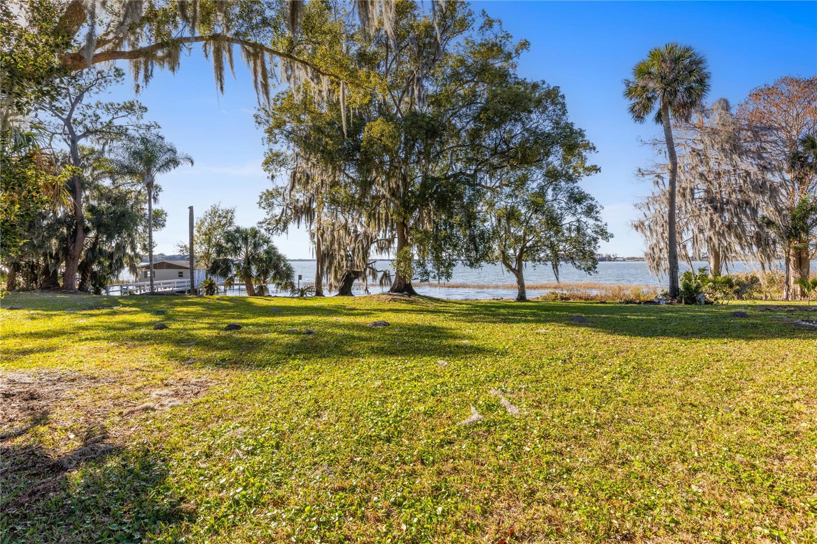 Listing photo id 3 for 6136 Dora Drive