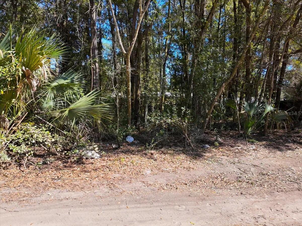 Image 4 of 28 For 35th Avenue