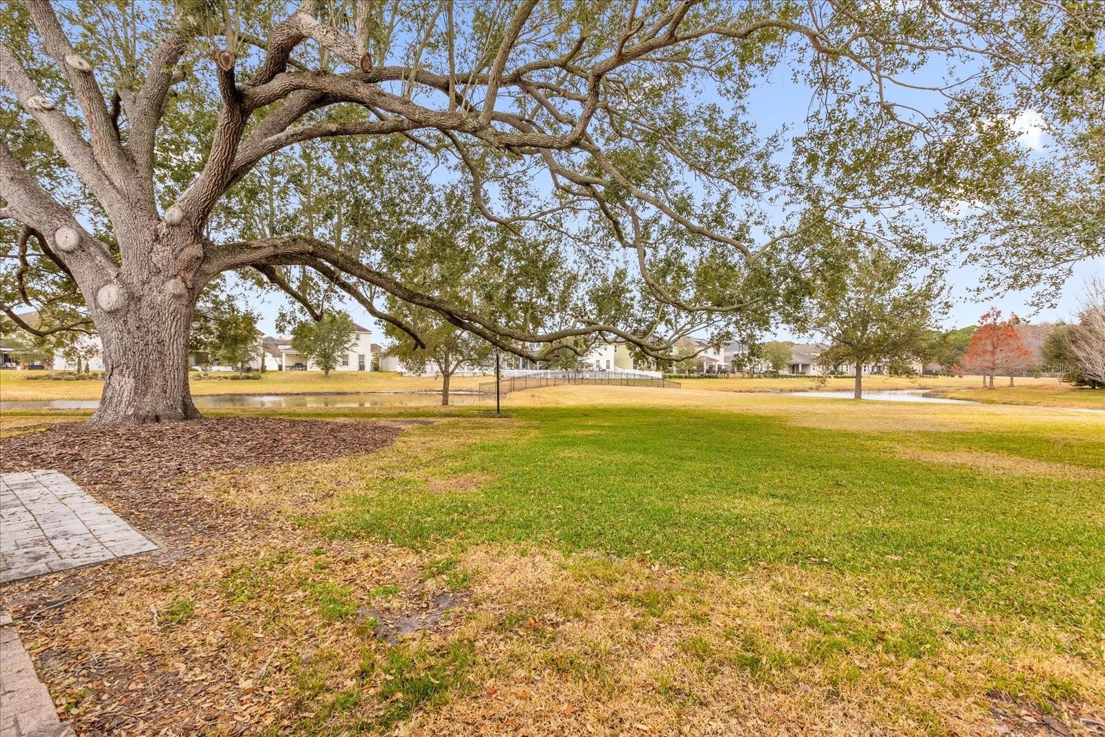 Image 17 of 23 For 5214 Cypress Creek Drive 103