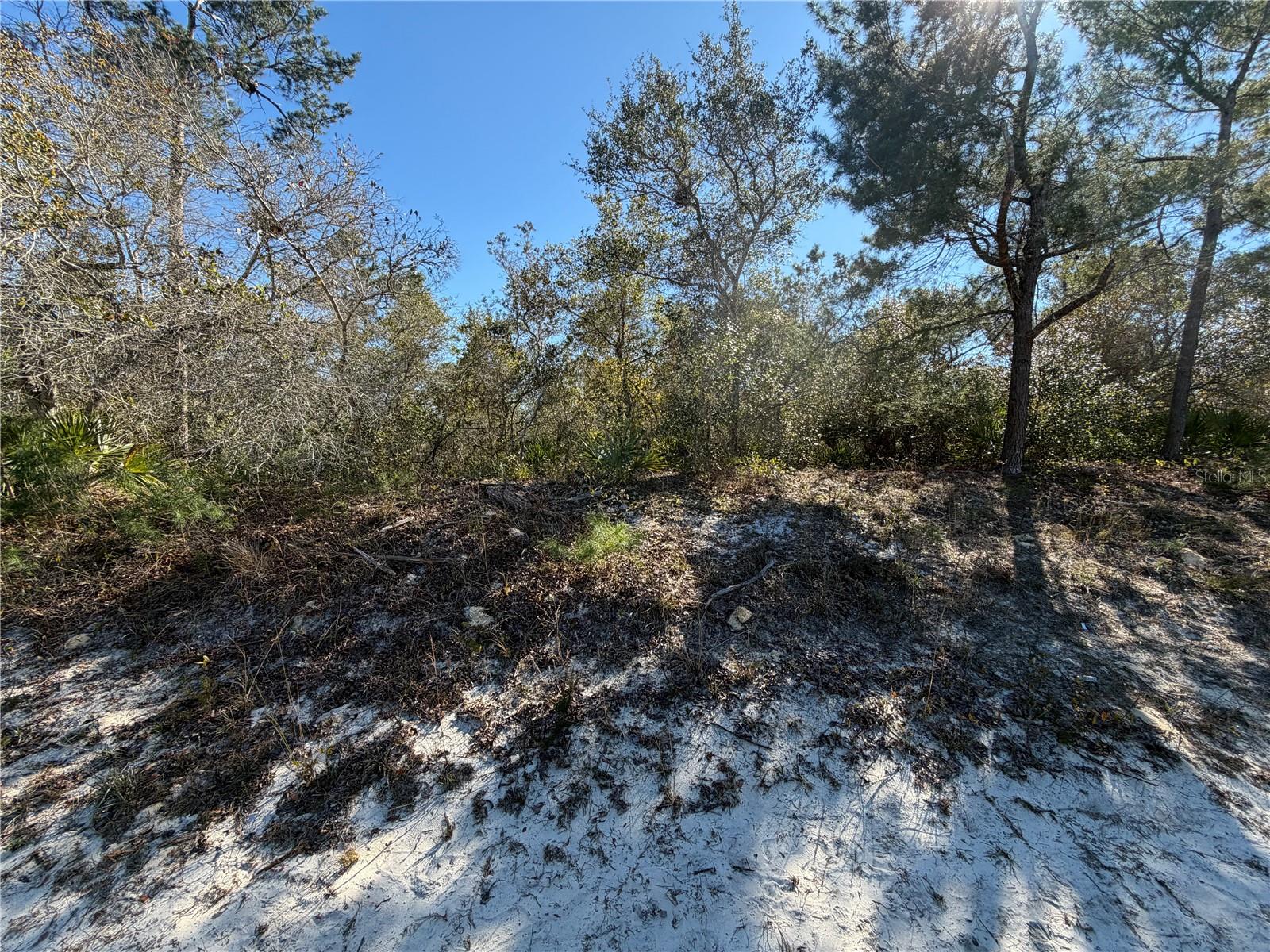 Image 3 of 4 For Mcbride Avenue