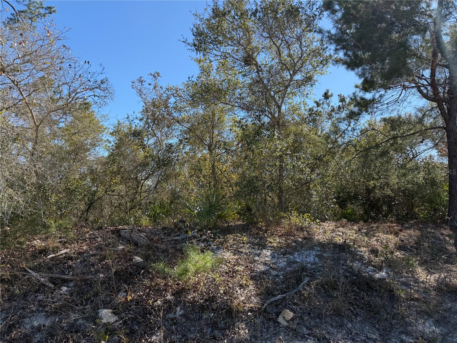 Image 4 of 4 For Mcbride Avenue