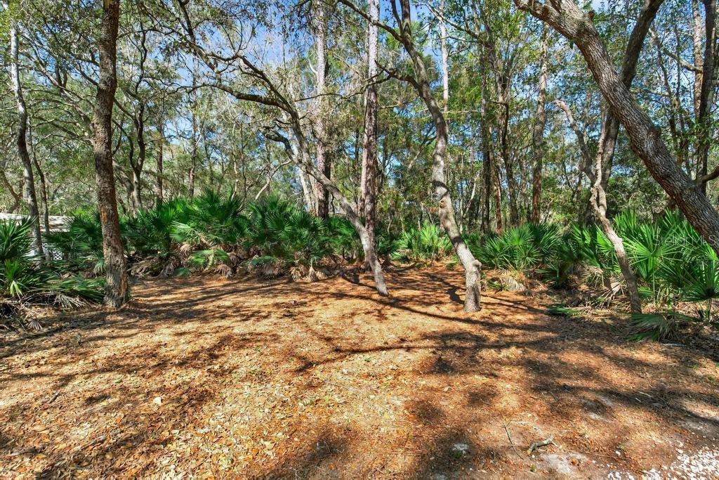 Image 53 of 70 For 8321 Hardwood Landing Road