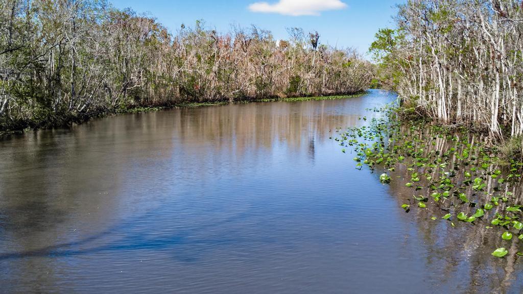 Image 57 of 70 For 8321 Hardwood Landing Road