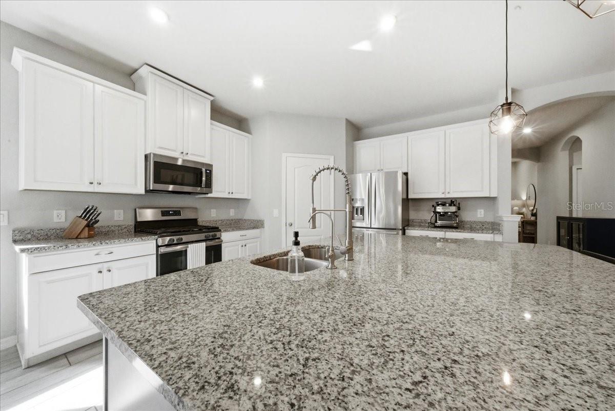 Image 23 of 53 For 1557 Dusty Pine Drive