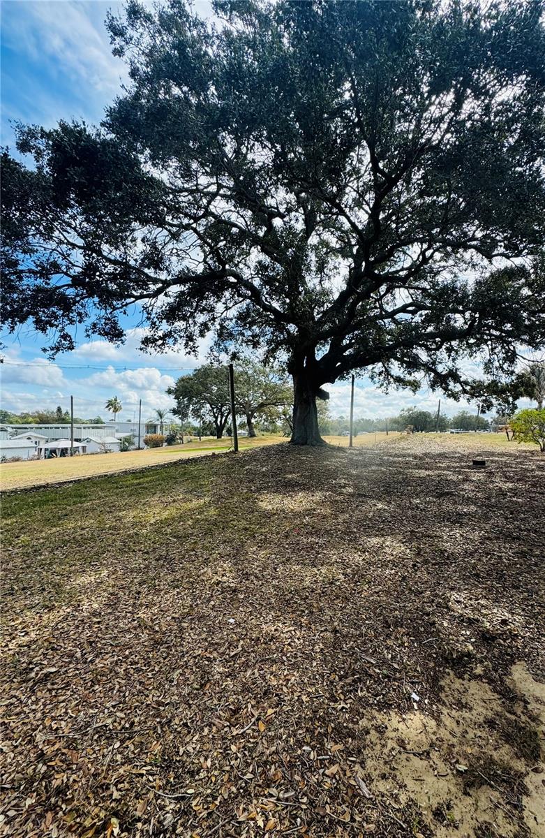 Image 7 of 31 For 402 Golfview Drive