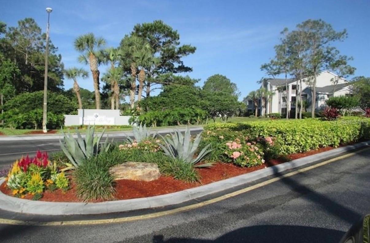 Image 25 of 33 For 2513 Grassy Point Drive 107