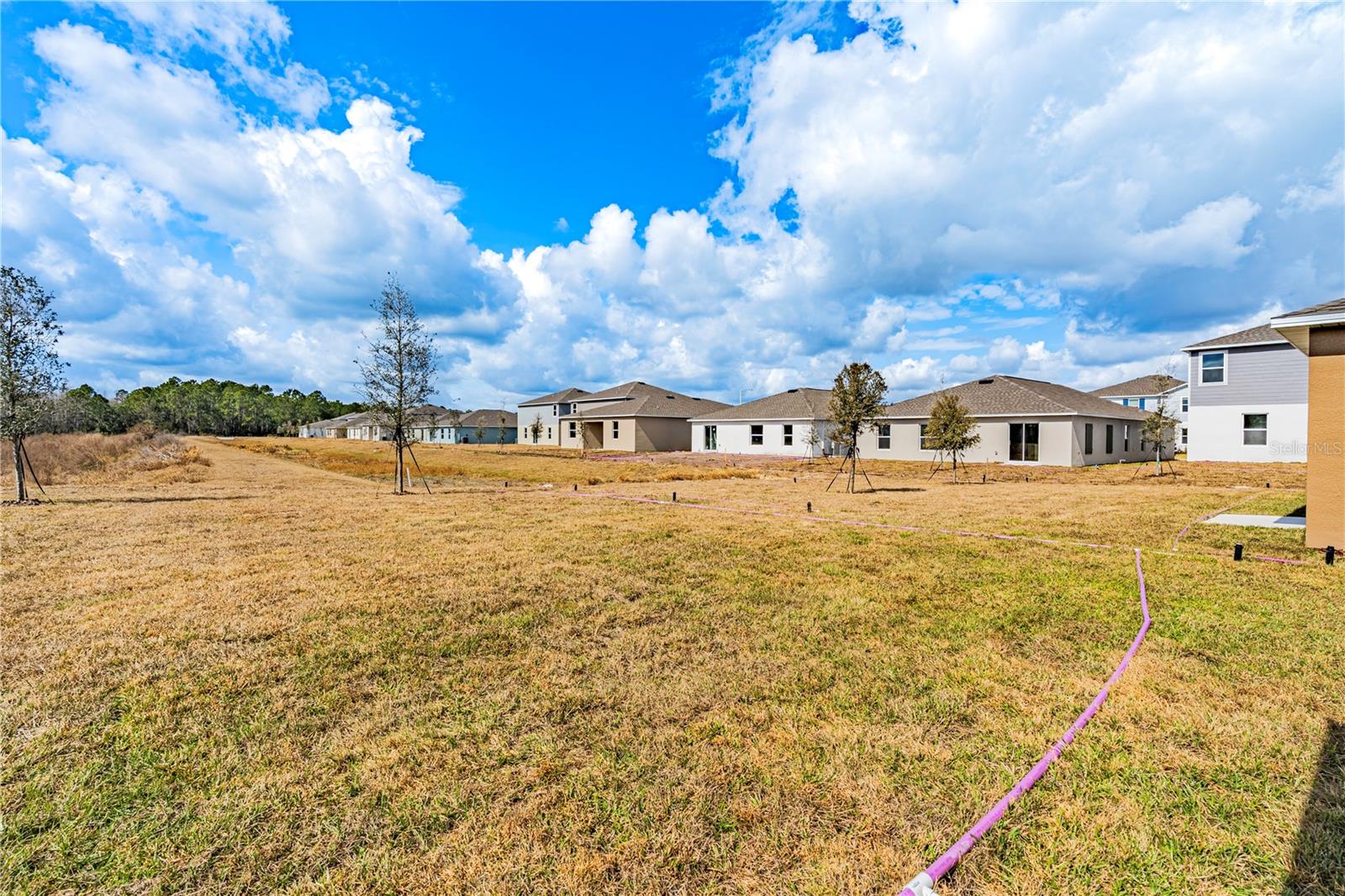 Listing photo id 7 for 3478 Mud Canyon Drive