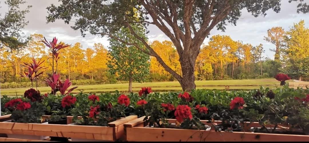 Image 3 of 31 For 14321 Peacock Springs Trail