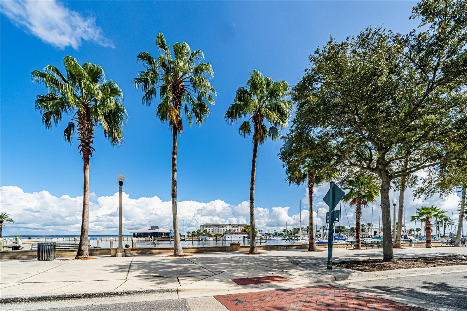 Image 19 of 23 For 284 Oak Avenue