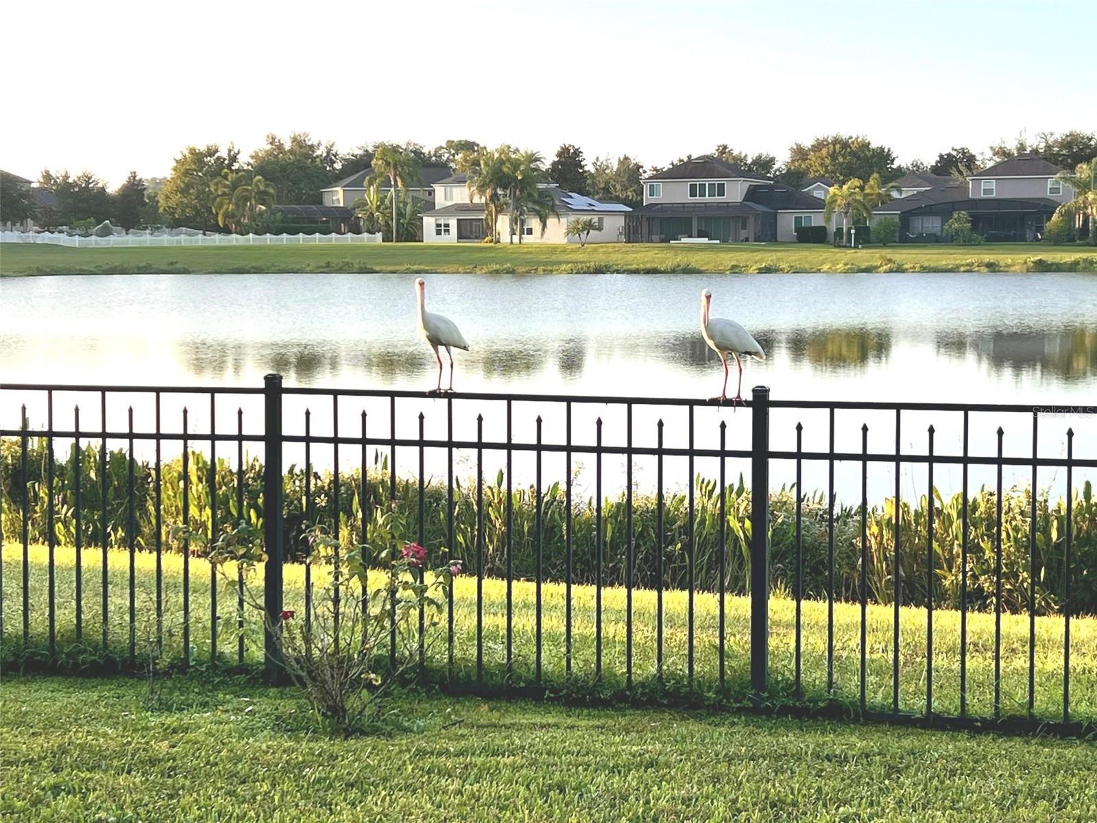 Image 4 of 52 For 13226 Jervey Street