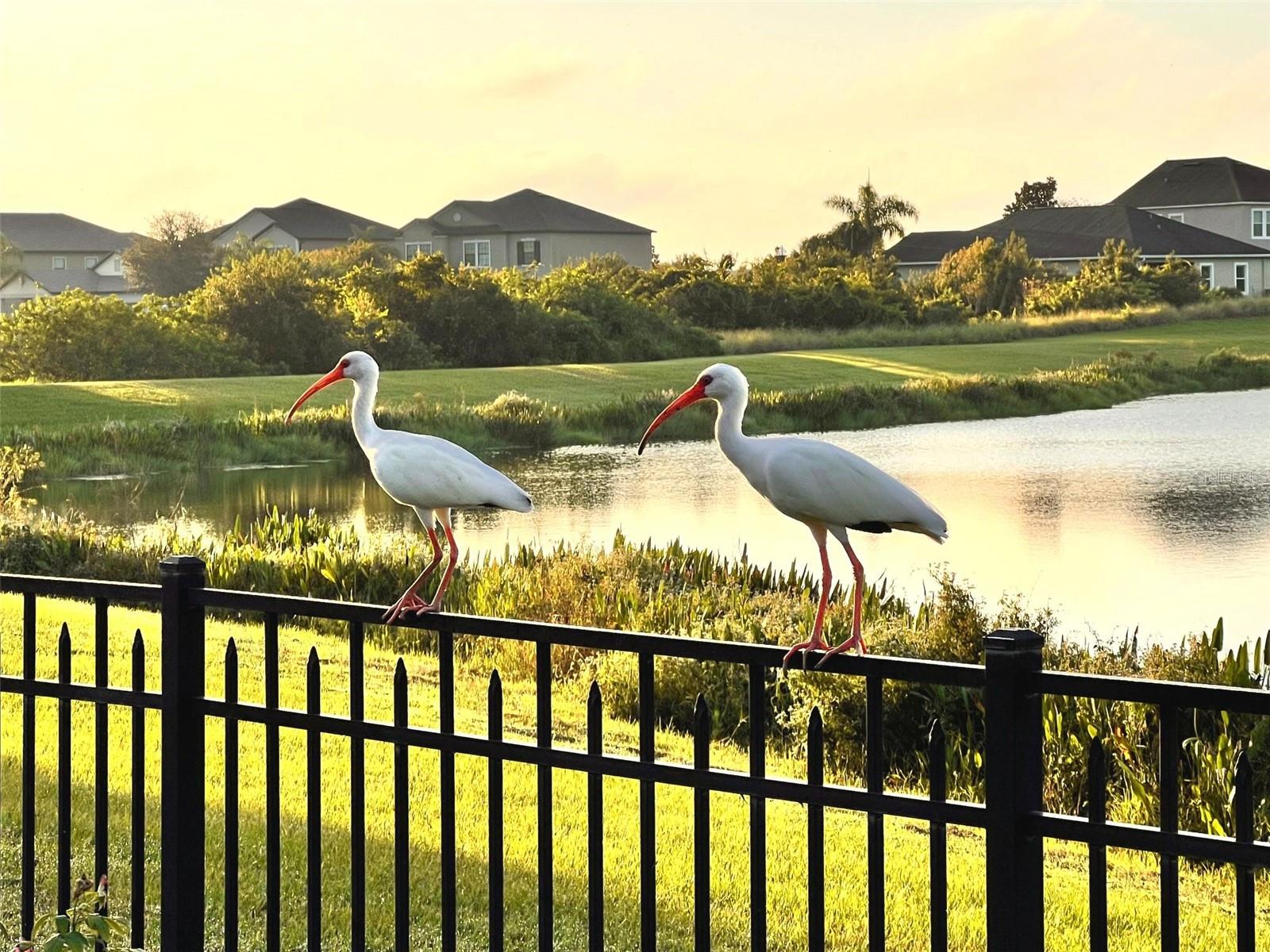 Image 5 of 52 For 13226 Jervey Street