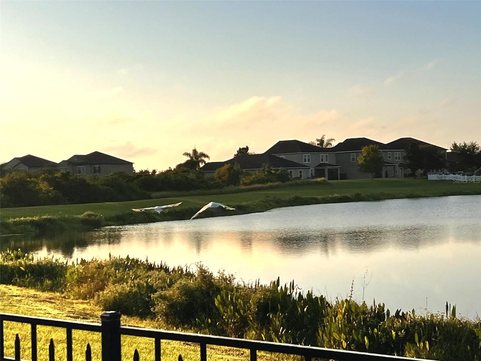 Image 6 of 52 For 13226 Jervey Street