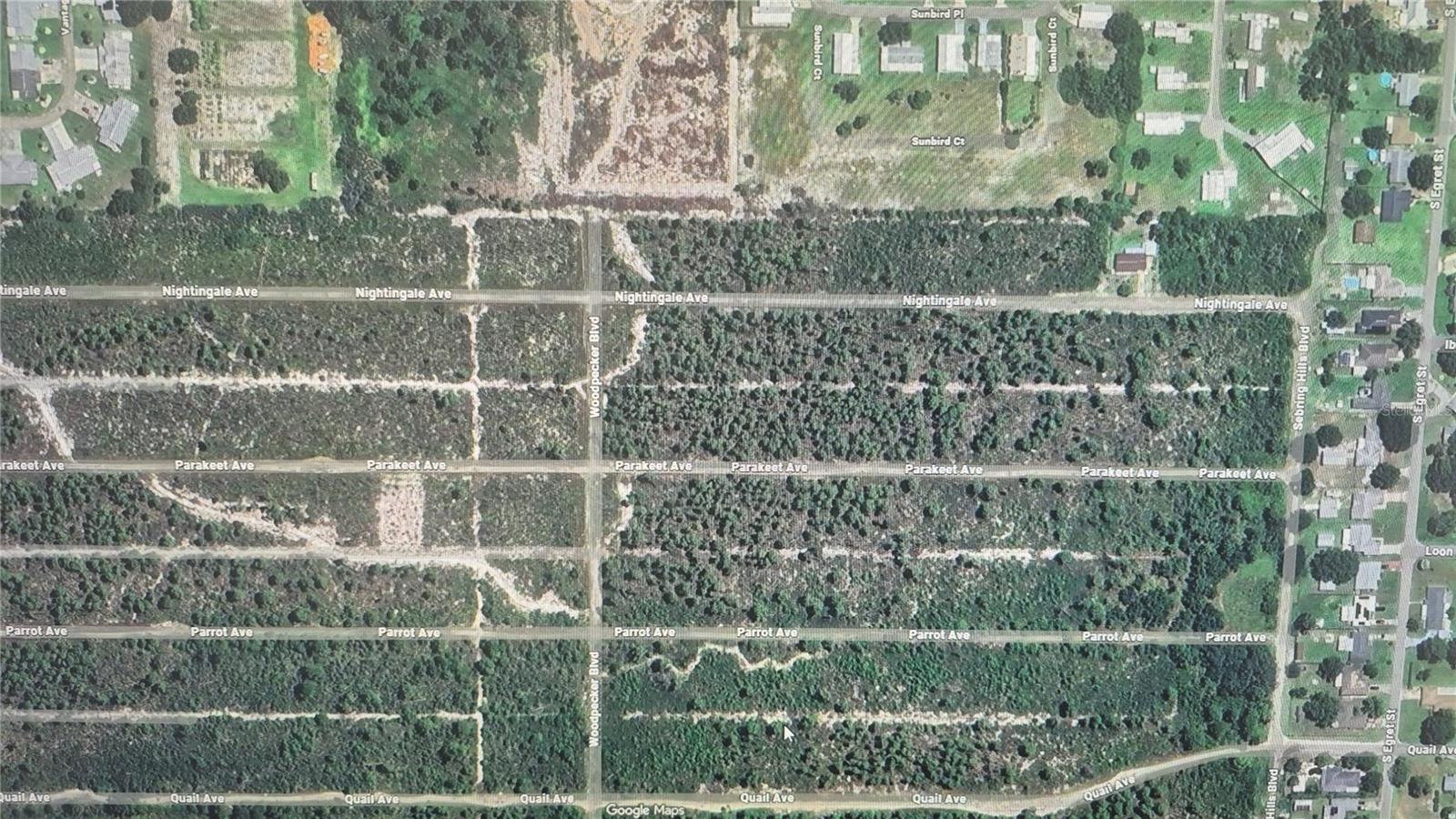 Image 4 of 5 For 608 Parakeet Avenue