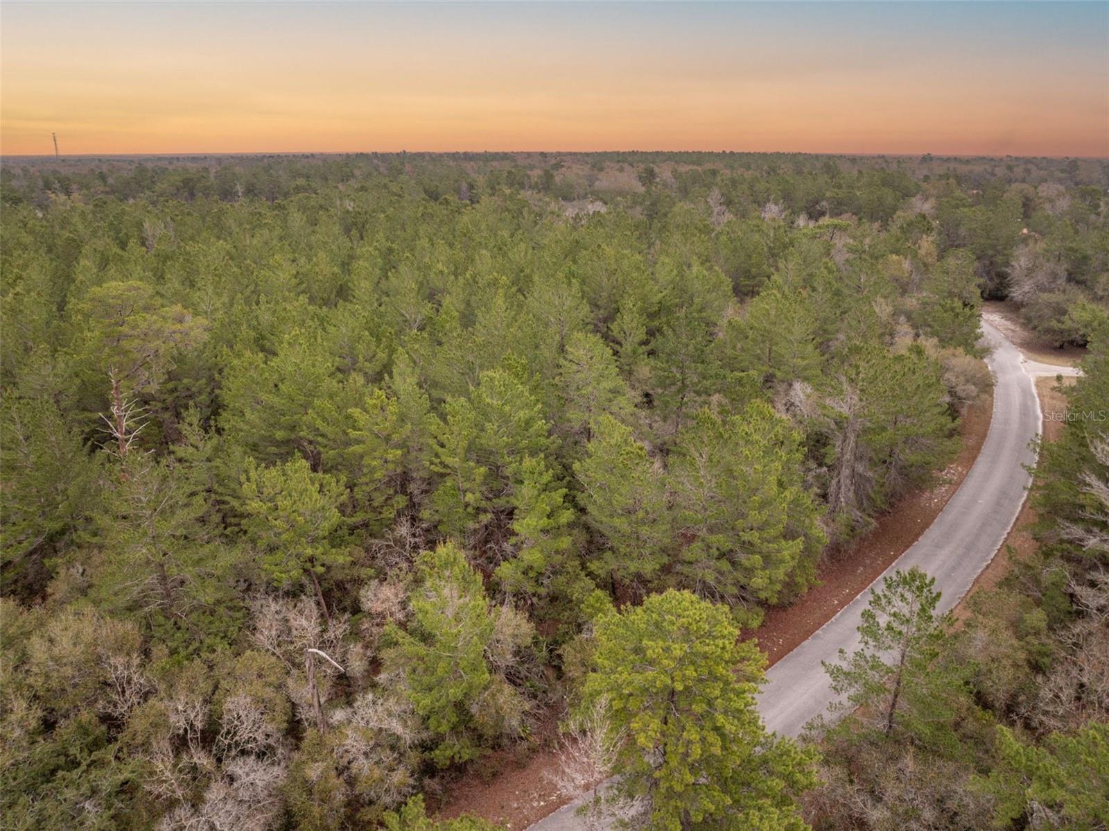 Image 2 of 9 For Seminole Woods Boulevard