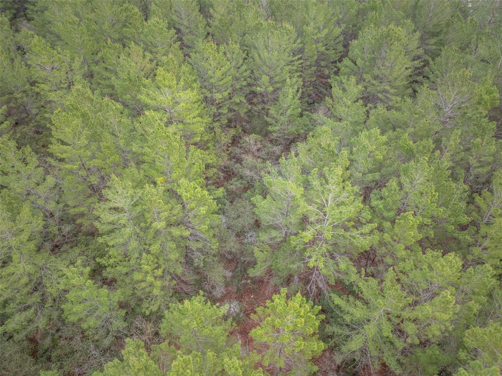 Image 7 of 9 For Seminole Woods Boulevard