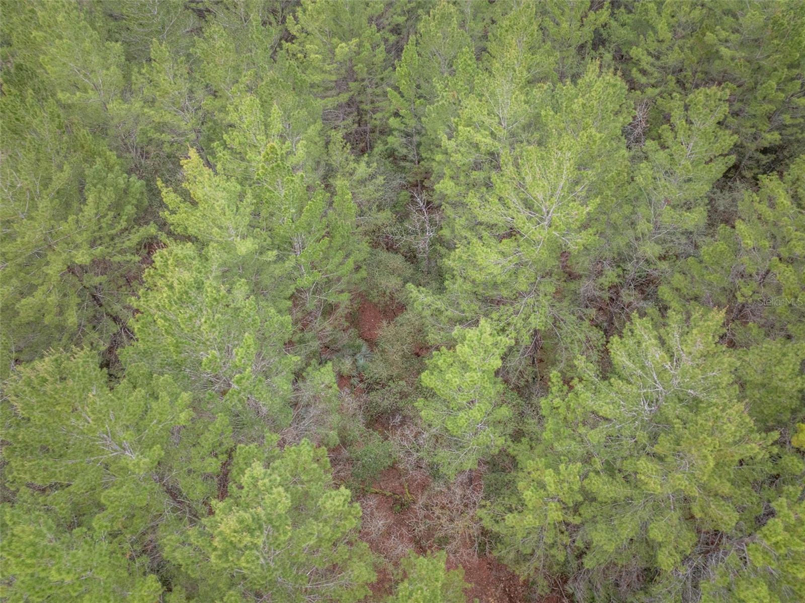 Image 8 of 9 For Seminole Woods Boulevard