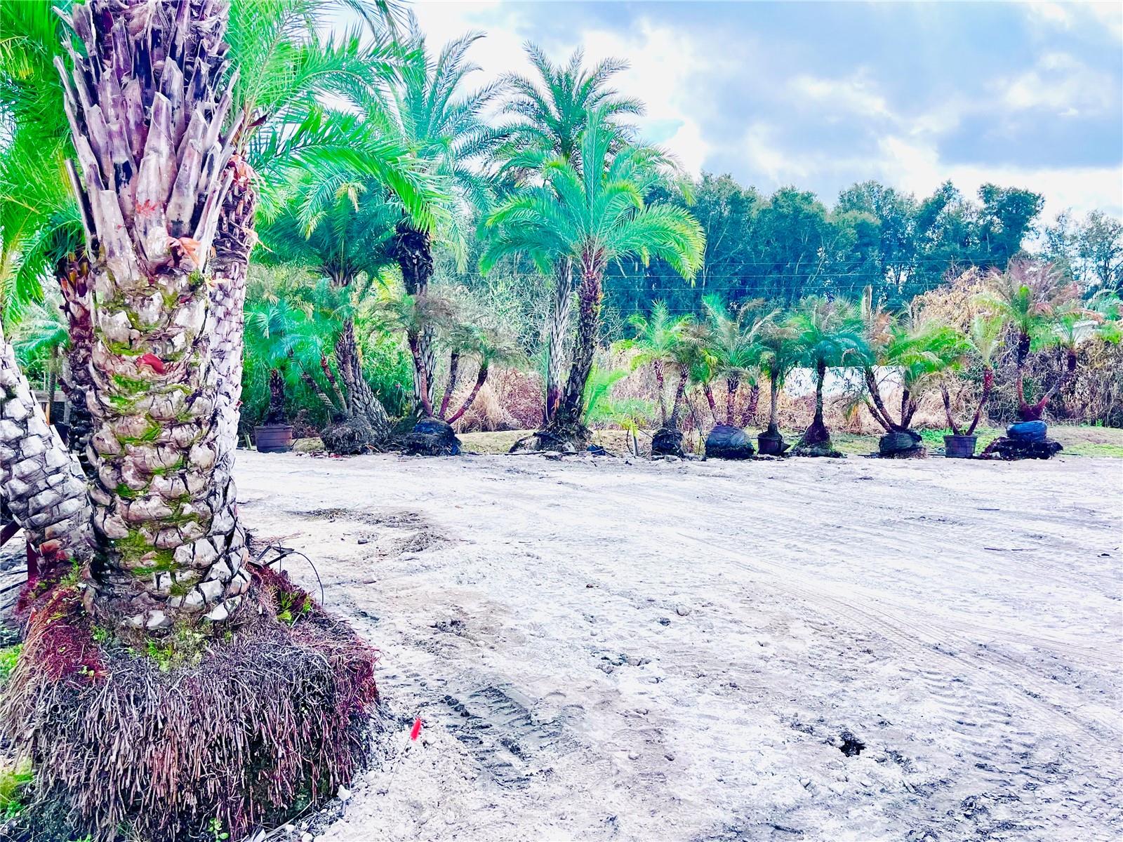 Image 11 of 24 For 8440 County Road 48