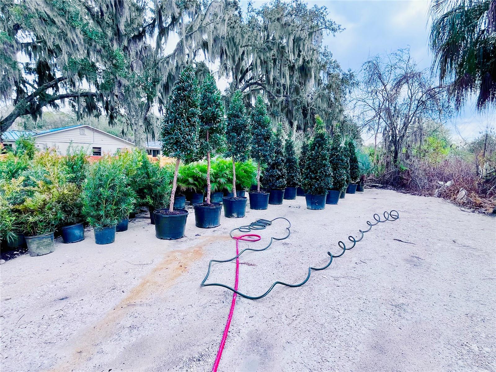 Image 16 of 24 For 8440 County Road 48