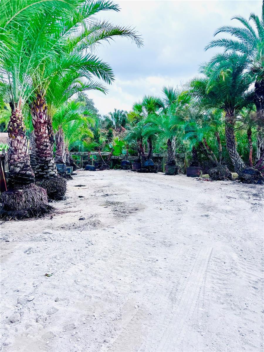 Image 7 of 24 For 8440 County Road 48