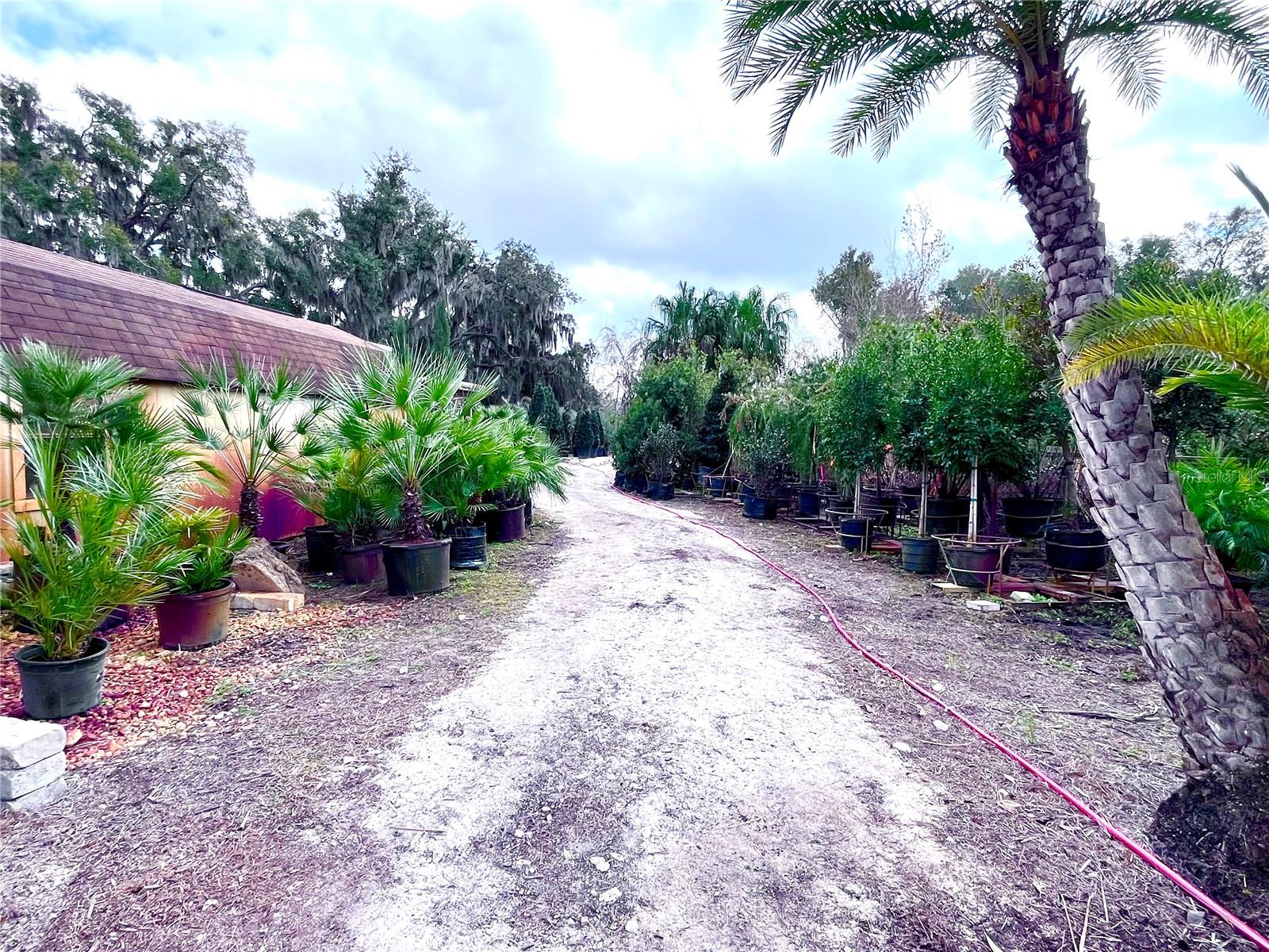 Image 8 of 24 For 8440 County Road 48