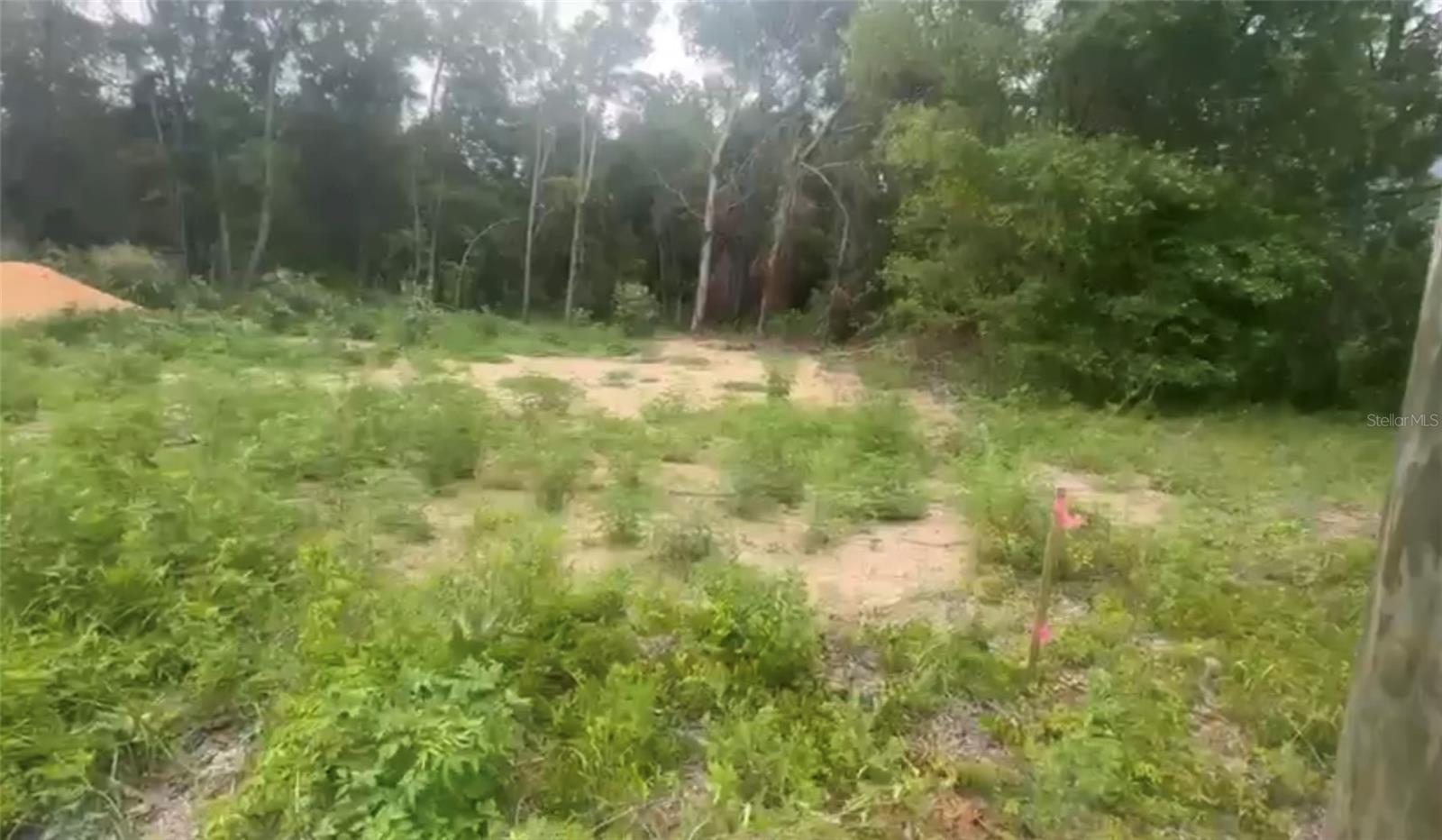 Image 8 of 10 For 5311 7th Street