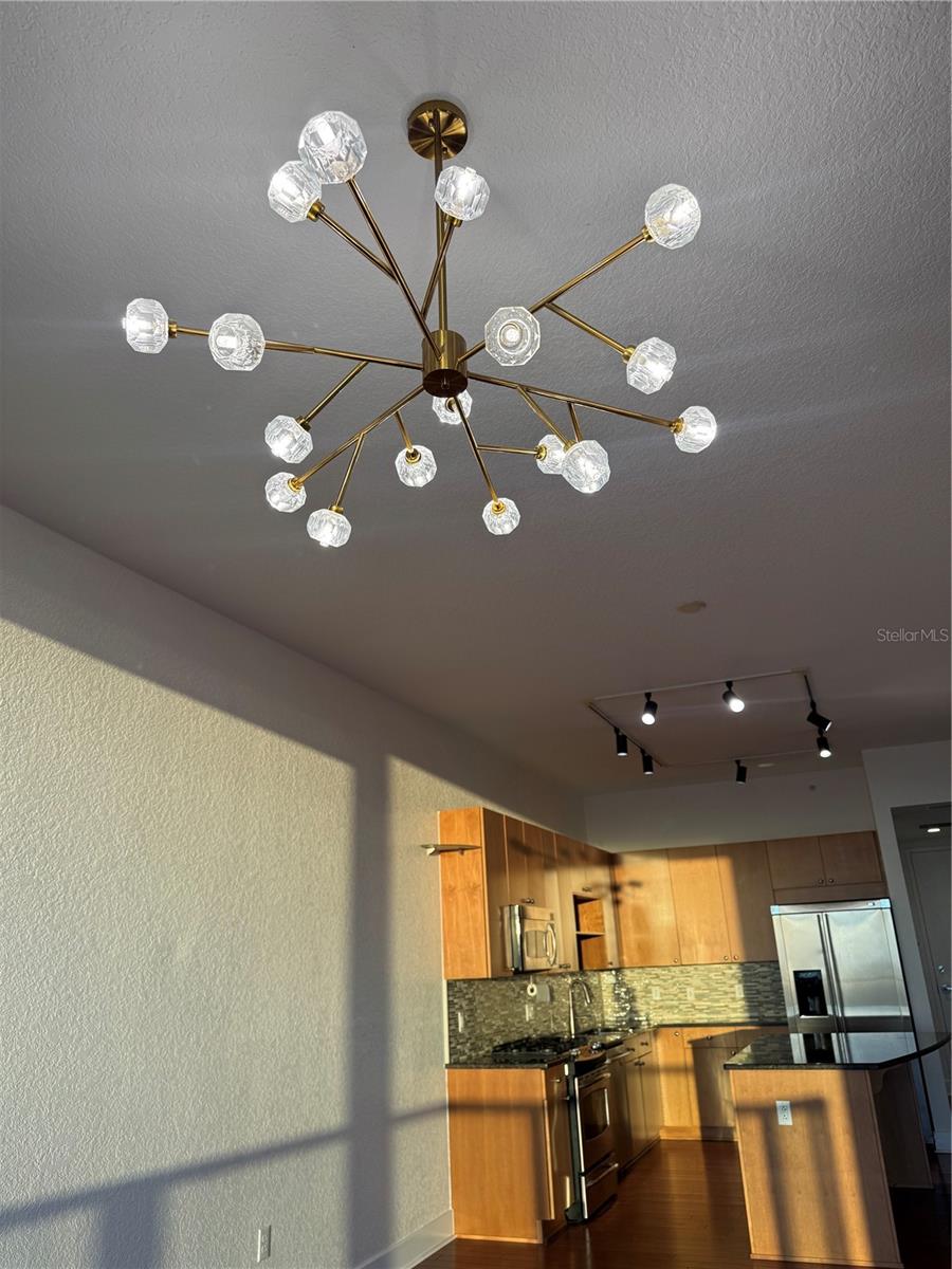 Image 19 of 40 For 150 Robinson Street 3206