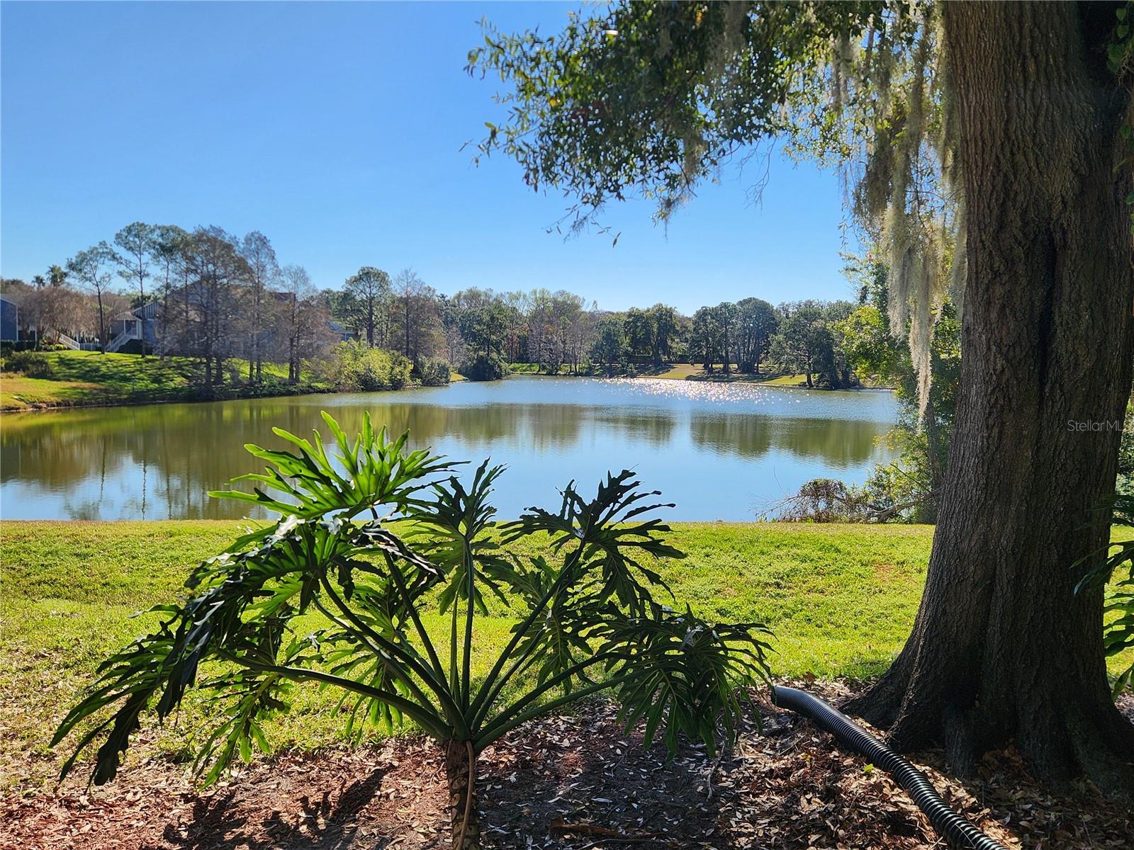 Image 2 of 27 For 2612 Grassy Point Unit 114 Drive 114