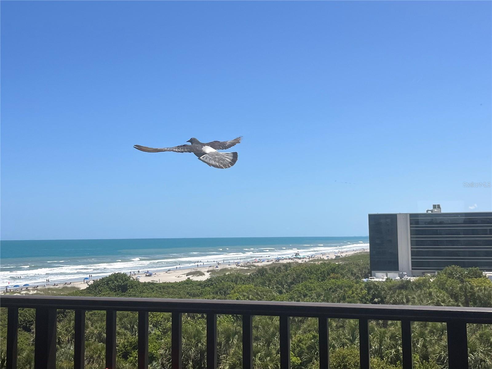 Image 10 of 36 For 1830 Atlantic Avenue C602