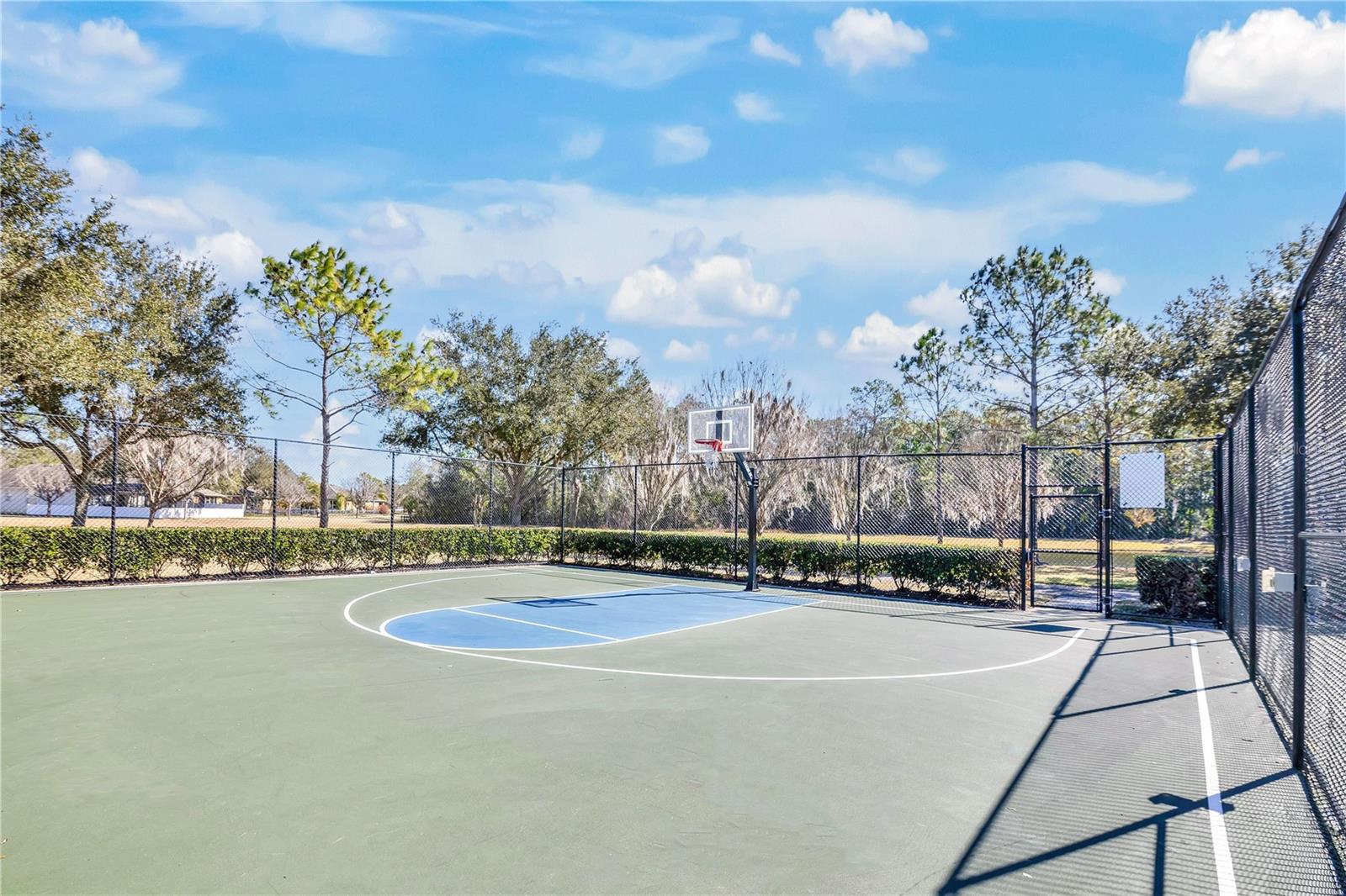 Image 53 of 53 For 13263 Strode Lane