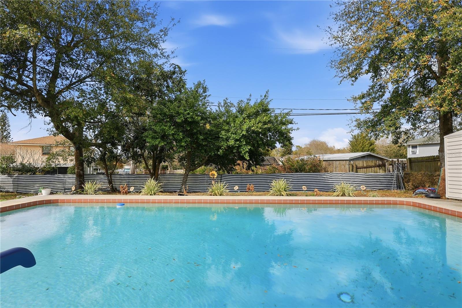 Image 20 of 31 For 217 Spencer Street