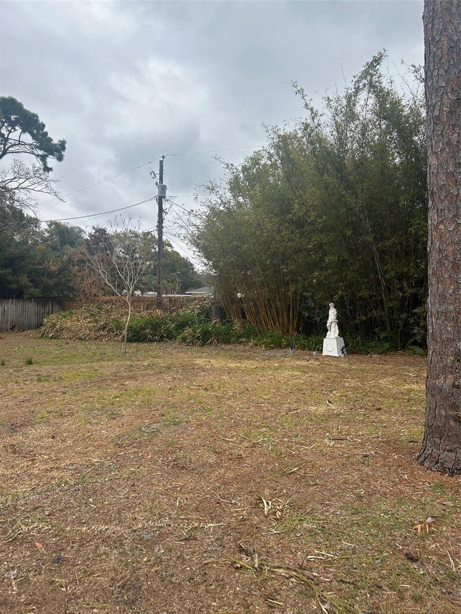 Image 51 of 52 For 1725 Mosher Drive