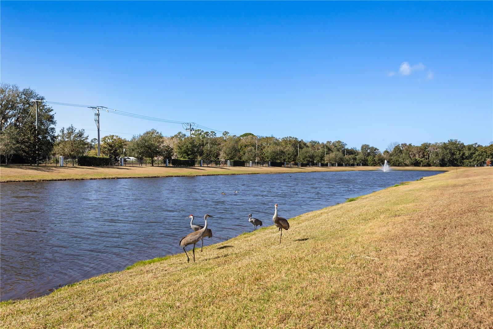 Image 28 of 33 For 2274 Tudor Rose Drive