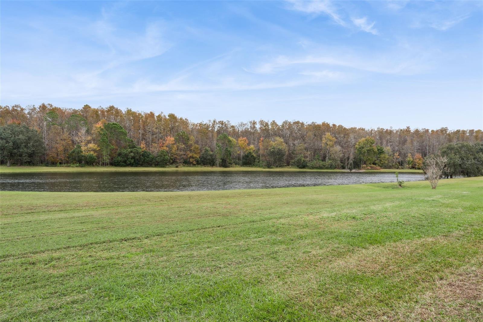 Image 41 of 58 For 14643 Traders Path