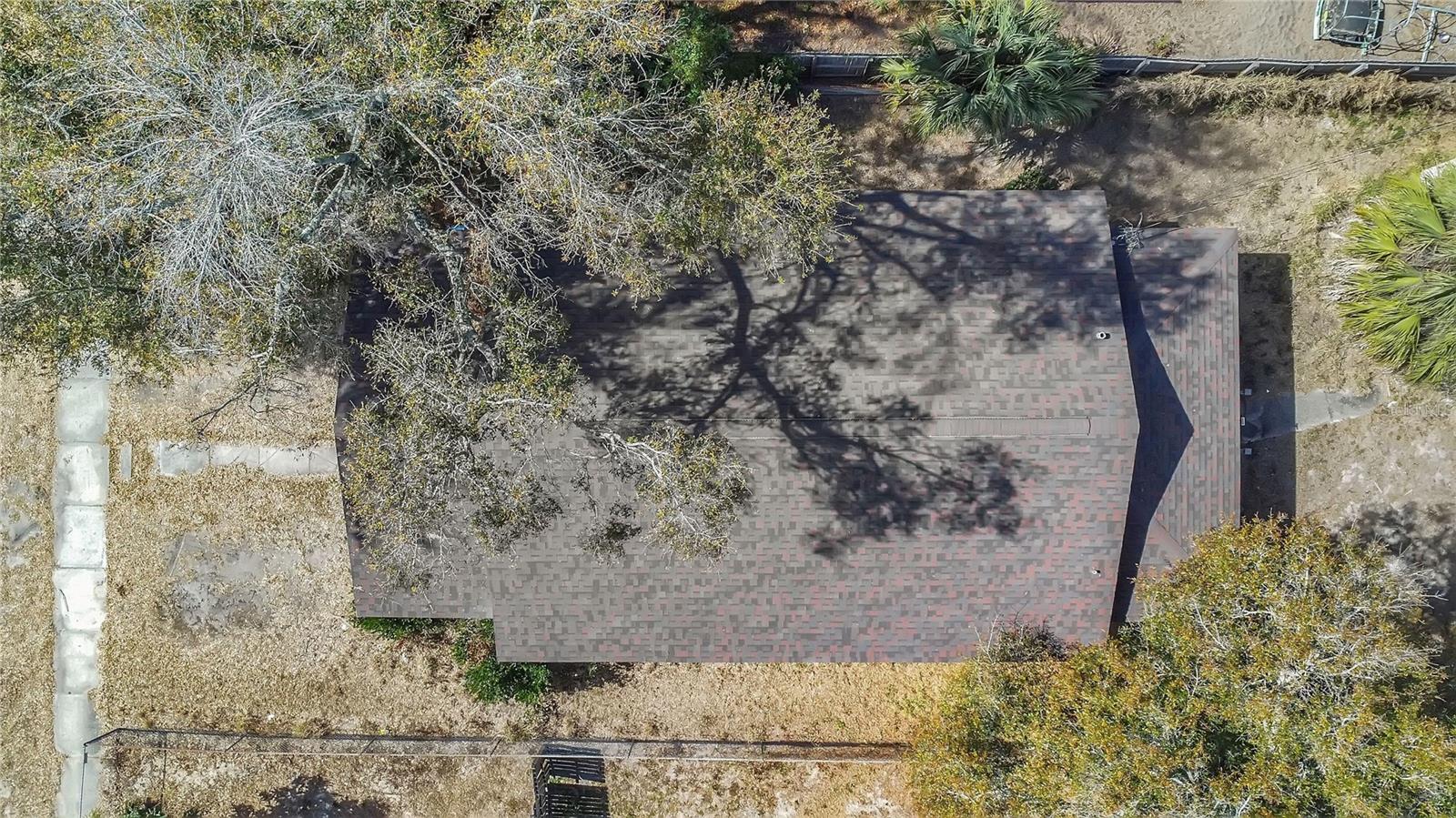 Image 22 of 25 For 219 Polk Avenue