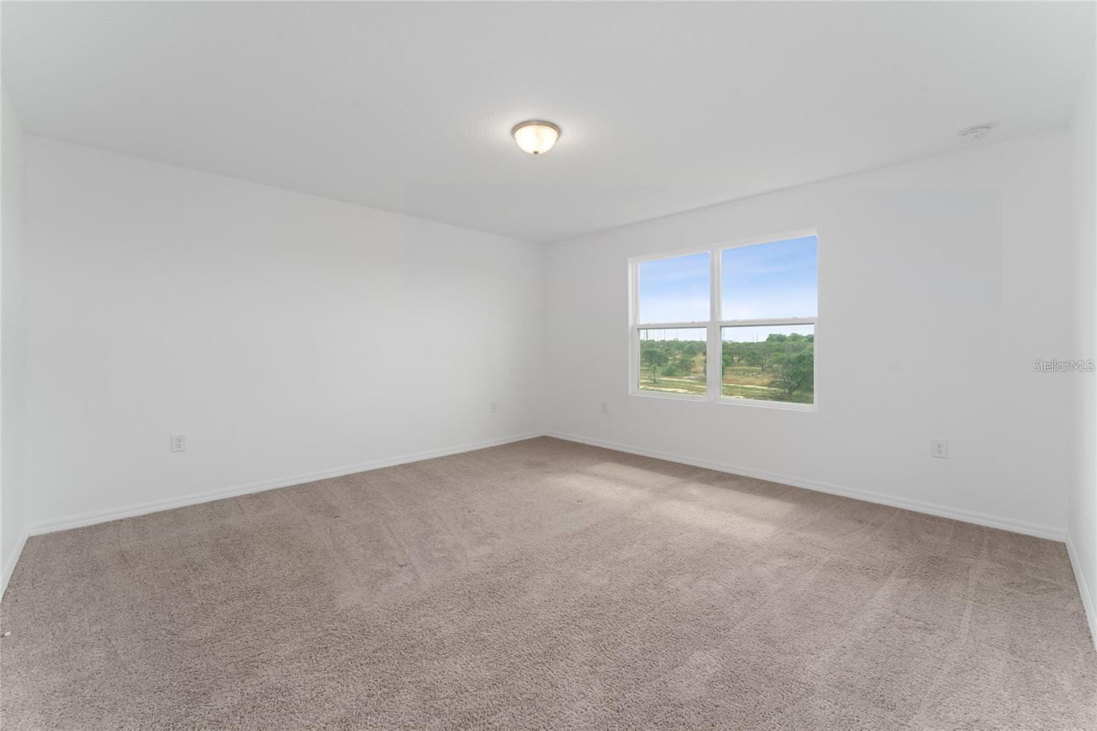 Image 19 of 23 For 221 Mandovi Street