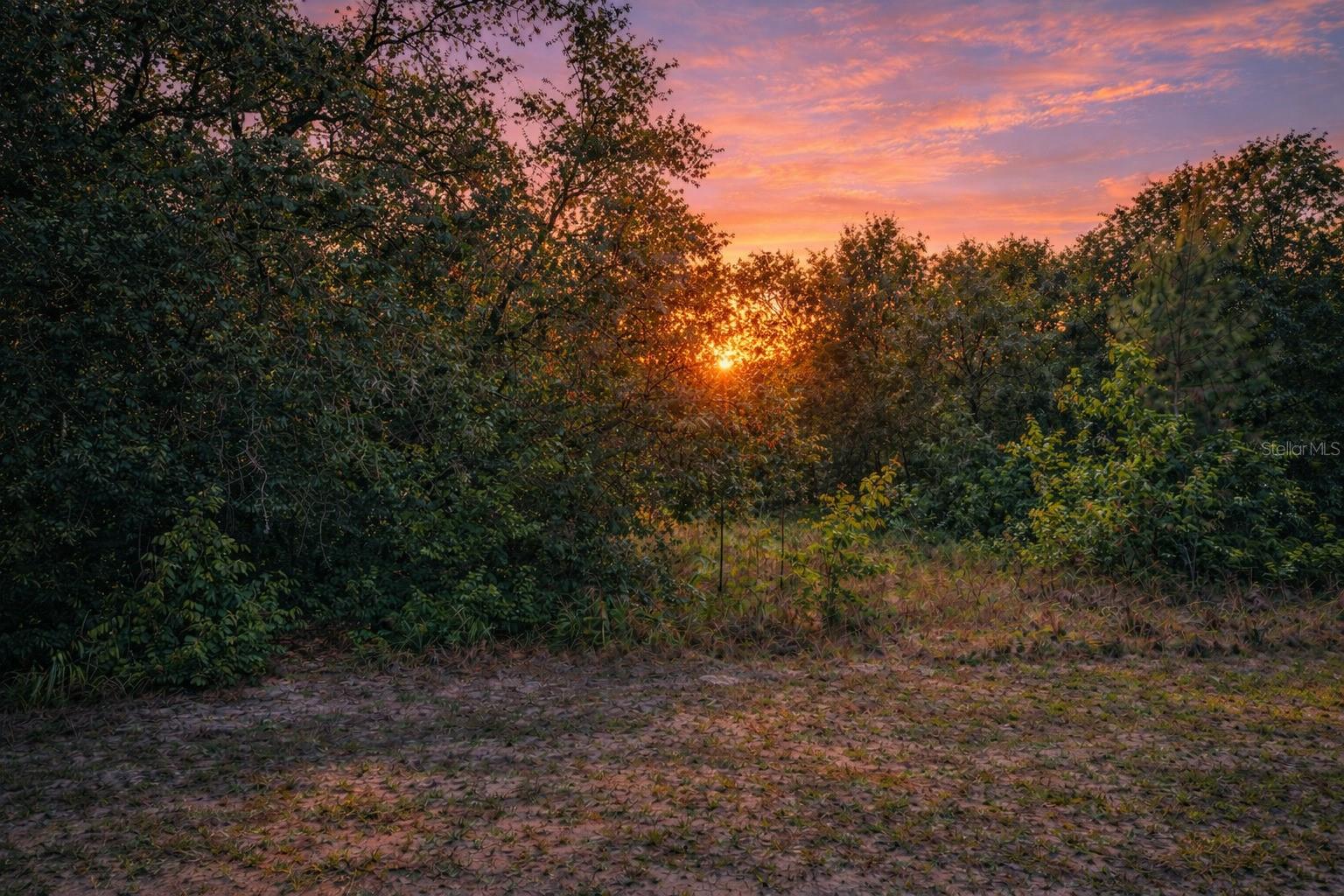 Image 3 of 4 For 4375 194th Avenue