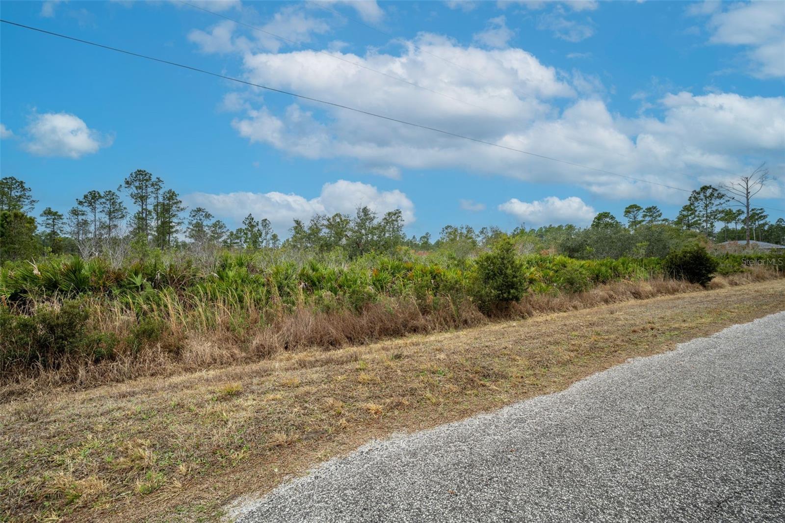 Image 10 of 30 For Honeysuckle Street