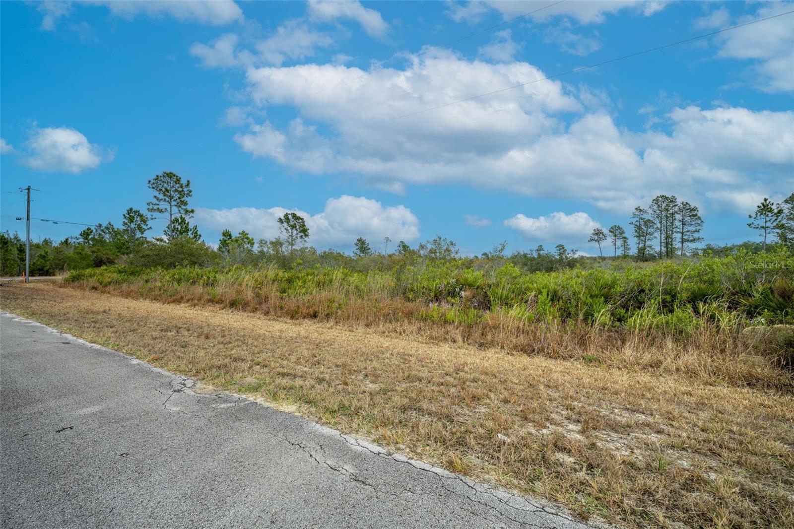 Image 11 of 30 For Honeysuckle Street