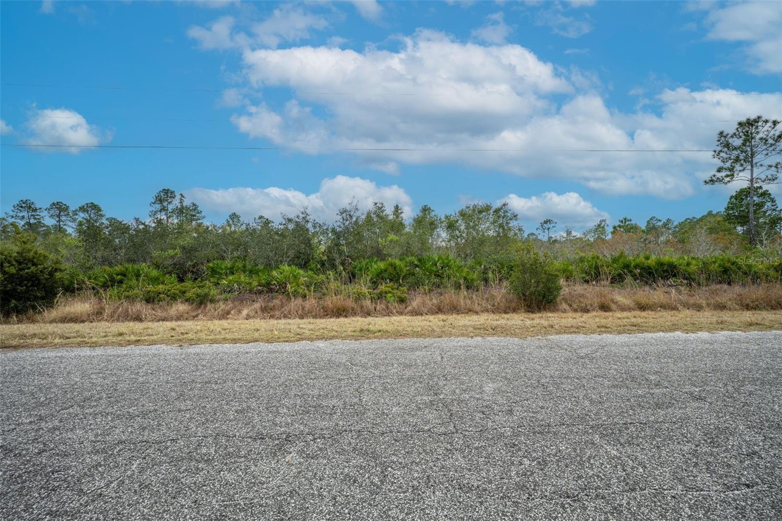 Image 2 of 30 For Honeysuckle Street