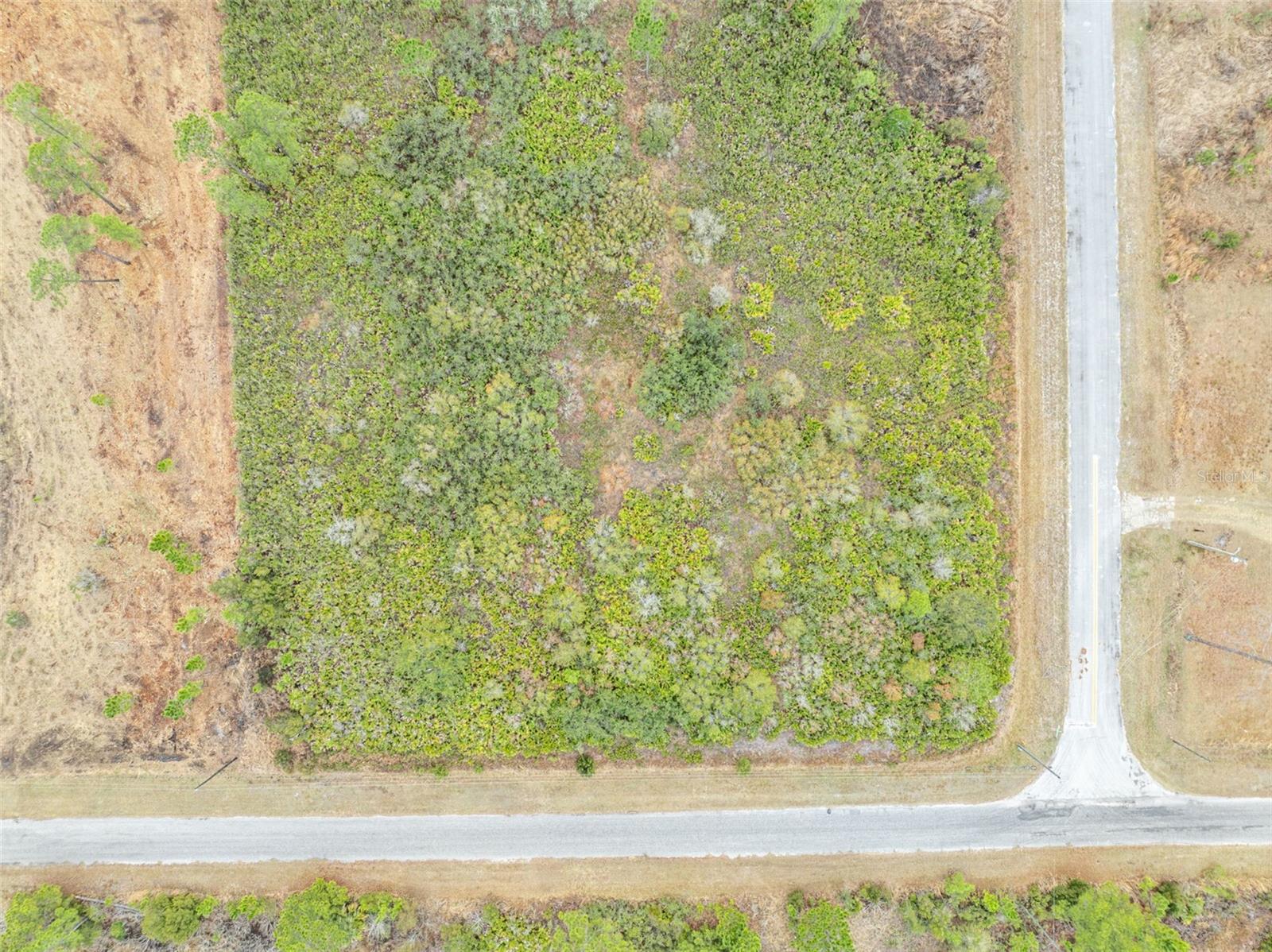 Image 26 of 30 For Honeysuckle Street