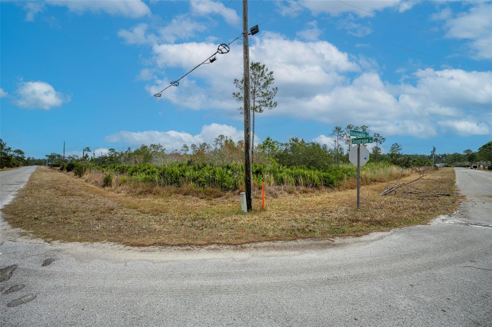 Image 8 of 30 For Honeysuckle Street