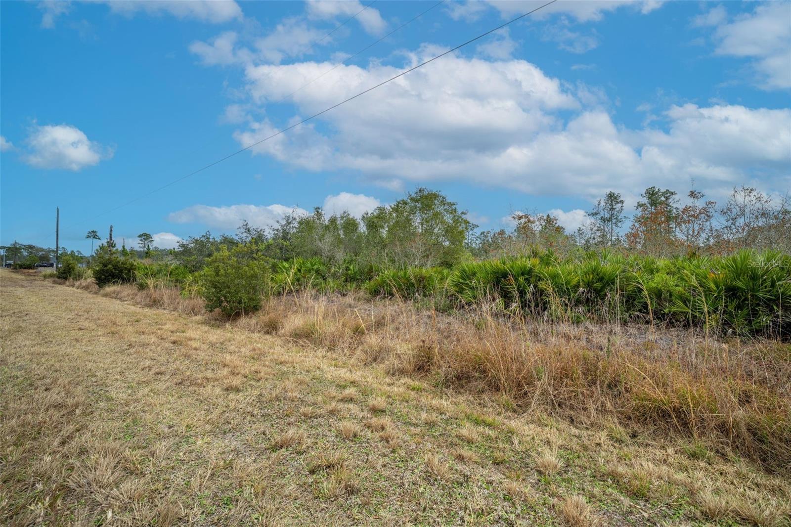 Image 9 of 30 For Honeysuckle Street