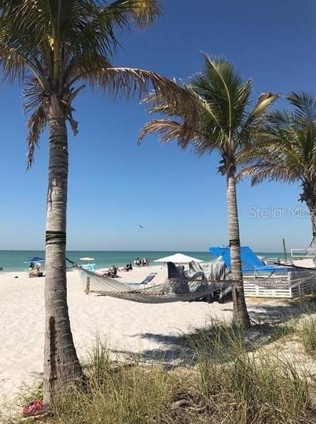 Image 15 of 43 For 273 Rex Place G