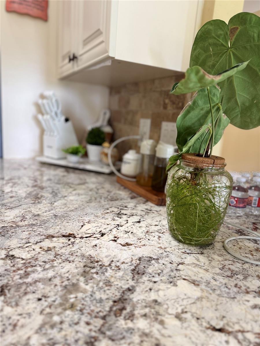 Image 20 of 48 For 701 White Ivey Court