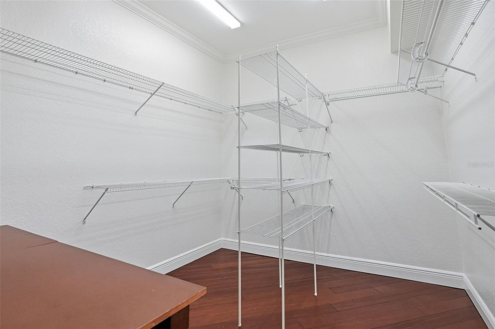 Image 24 of 43 For 4495 Secretariat Run