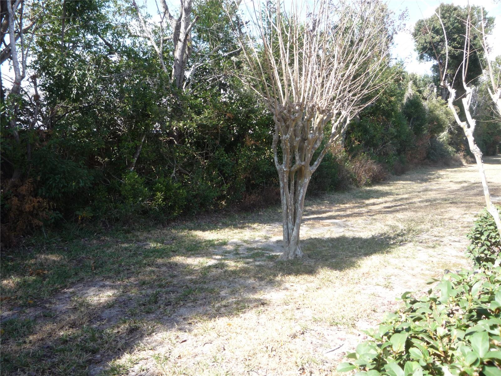 Image 9 of 10 For 101 Grand Plaza Drive F3