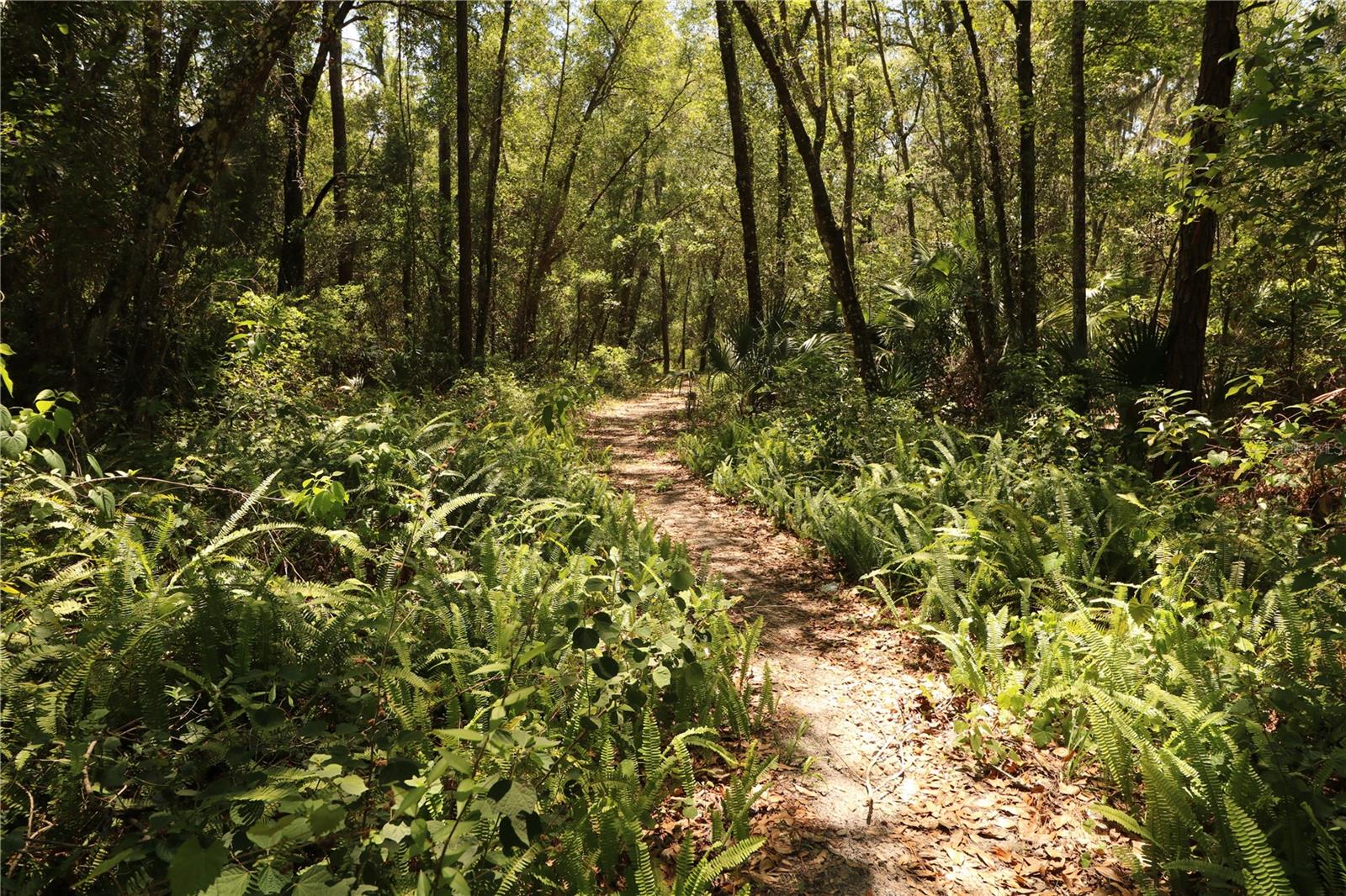 Image 2 of 4 For 0 Franklin Street